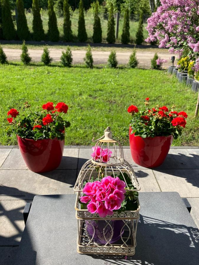 Apartamenty Arkadia Mrągowo Exterior foto